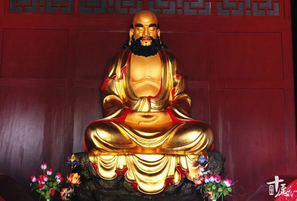 达摩